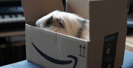 Verlorenes Paket und Amazon prime